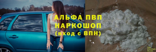 винт Коряжма