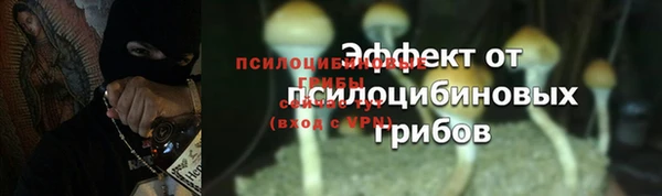 гидра Костерёво