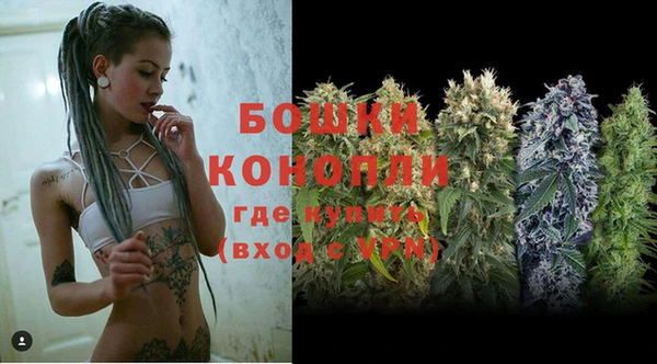 гидра Костерёво