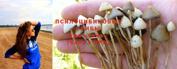 винт Коряжма