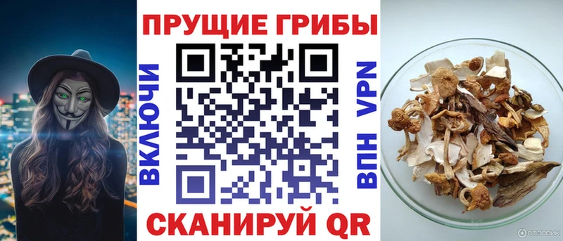 Псилоцибиновые грибы Magic Shrooms  цены наркотик  Пойковский 