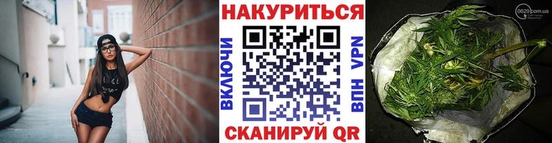 Конопля планчик Пойковский